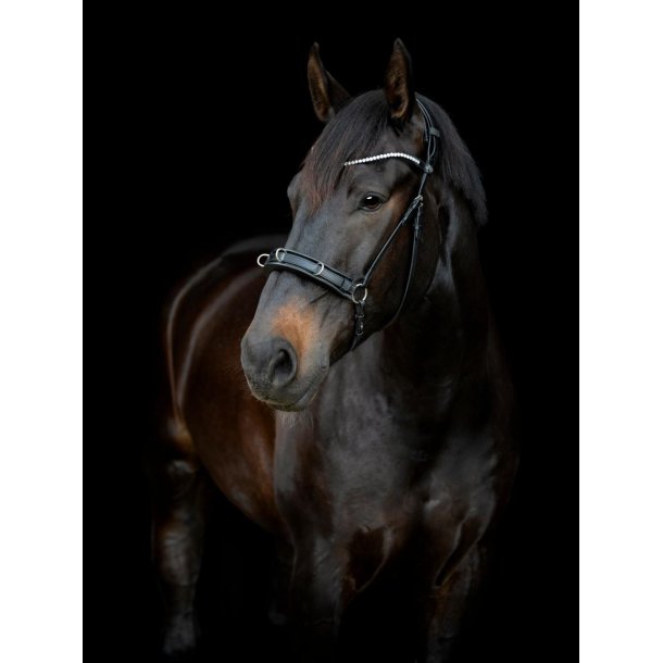 GENTLE BRIDLE Kapsun.  Brun Full