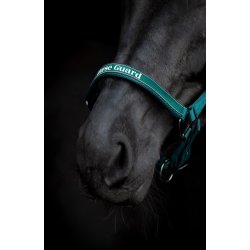 HORSEGUARD SANDRA Grime. Darkest Spruce