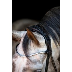 CATAGO NIVAL 26.1 Rundsyet trense med kombineret n�seb�nd og tilbagetr�k 