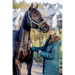 HORSEGUARD MALVA Grime. Granite Green. "My Favorite"