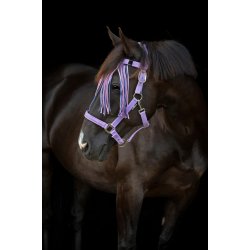 HORSEGUARD MALVA Grime. Lavender. "Pretty Girl"