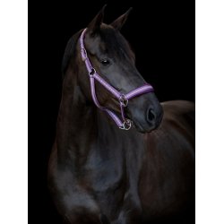 HORSEGUARD COLE Grime. Italian Plum