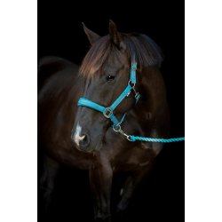 HORSEGUARD DIYA 2.0 Grime. Arctic