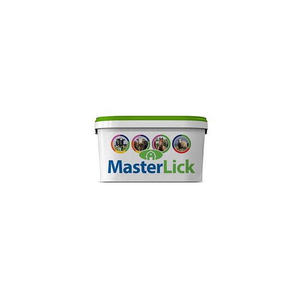 AMEQU MasterLick, High Mag. 20kg