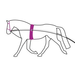 QHP Dobbelte longeliner. 16m