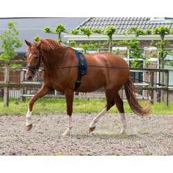 QHP Dobbelte longeliner. 16m