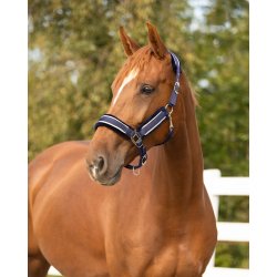 QHP DOLCI Grimes�t med tr�ktov. Bl�/s�lv