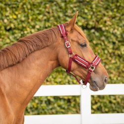 QHP DOLCI Grimes�t med tr�ktov. Bordeaux/s�lv