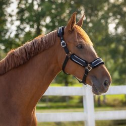 QHP DOLCI Grimes�t med tr�ktov. Sort/s�lv