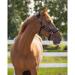 QHP DOLCI Grimes�t med tr�ktov. Sort/s�lv