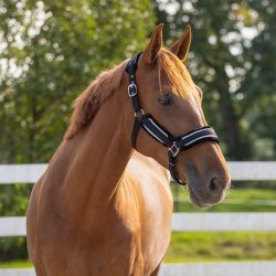 QHP DOLCI Grimes�t med tr�ktov. Sort/s�lv