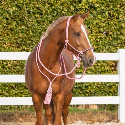 QHP LIBERTY S�t med rebgrime og bl�d cordeo. Lyser�d