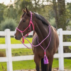 QHP LIBERTY S�t med rebgrime og bl�d cordeo. Pink