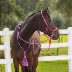 QHP LIBERTY S�t med rebgrime og bl�d cordeo. Pink