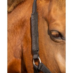 QHP SAFETY Foret sikkerhedsgrime.