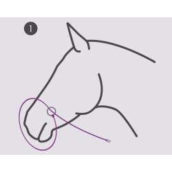 QHP Fotograferingsgrime