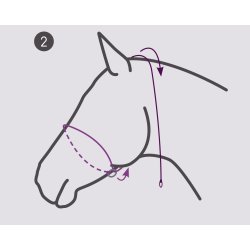 QHP Fotograferingsgrime