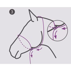 QHP Fotograferingsgrime