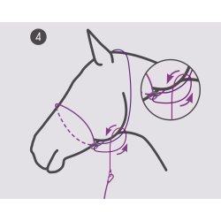 QHP Fotograferingsgrime