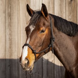 QHP LIBERTA L�der-rebgrime.