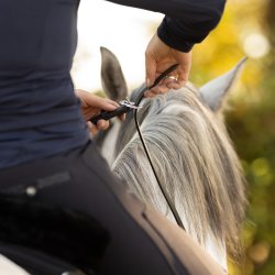 QHP LIBERTA l�der-cordeo.