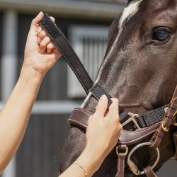 QHP Opsadlingsgrime. Sort