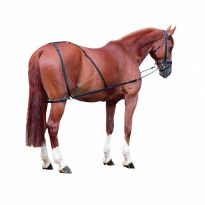 WALDHAUSEN Kombitrner