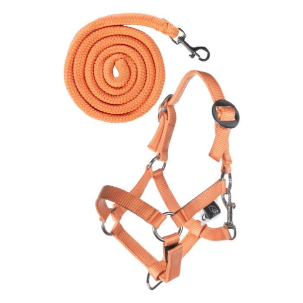 HKM Grime og trktov til Hobby Horse kphest. Orange