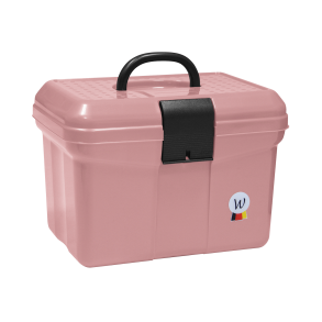 WALDHAUSEN Striglekasse. Gammelrosa