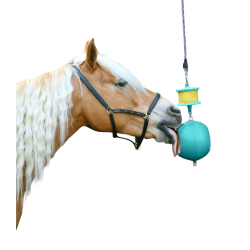 LIKIT Boredom Breaker. Turkis