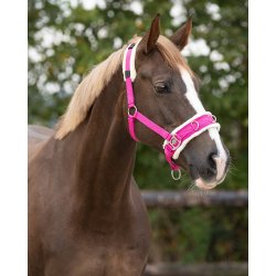 QHP ESSENTIAL Kapsun. Pink