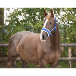 QHP ESSENTIAL Kapsun. Bl�