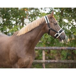 QHP ESSENTIAL Kapsun. Sort