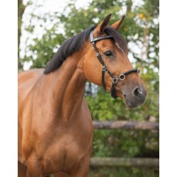 QHP L�derkapsun. Sort