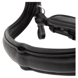 BR PREMIERE MONTAUBON Trense