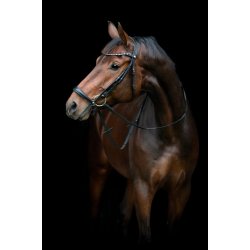 HORSEGUARD CRYLL 25.2 Trense med hannoveransk nsebnd