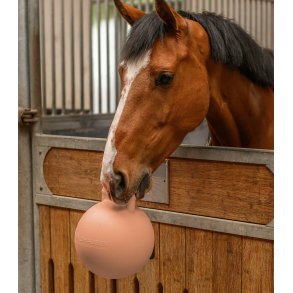WALDHAUSEN Fun ball