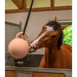 WALDHAUSEN Fun ball