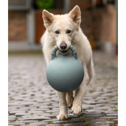 WALDHAUSEN Fun ball