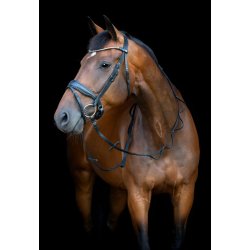 HORSEGUARD LOOP T�jler