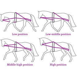 QHP Longeringssystem. Sort