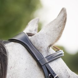 QHP LUXURY Anatomisk trense. Sort