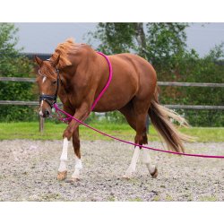 QHP Longeringssystem. Pink