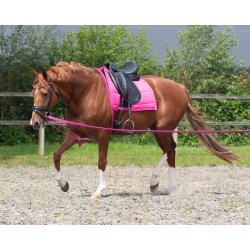 QHP Longeringssystem. Pink