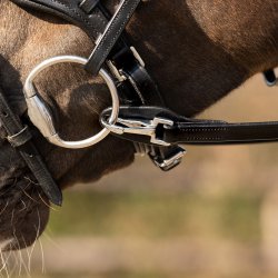 QHP One hand rein - Enhndstjle