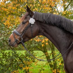 QHP KL�VER St�vnenummer. S�lv