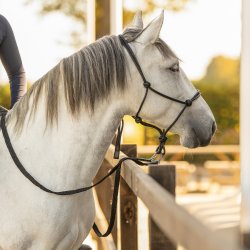 QHP LIBERTA T�jler med karabinhager