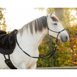 QHP LIBERTA T�jler med karabinhager