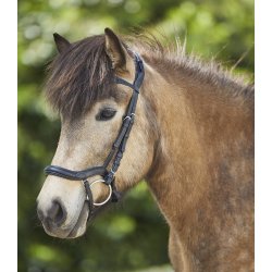 WALDHAUSEN Islndertrense