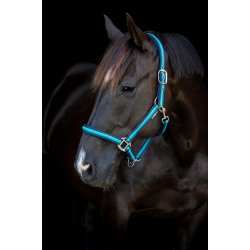 HORSEGUARD STRIPED Grime. Navy